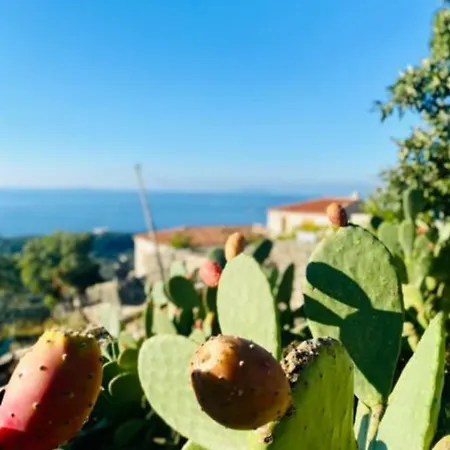 Tini's 度假居